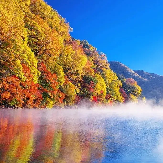 二十四节气｜秋分