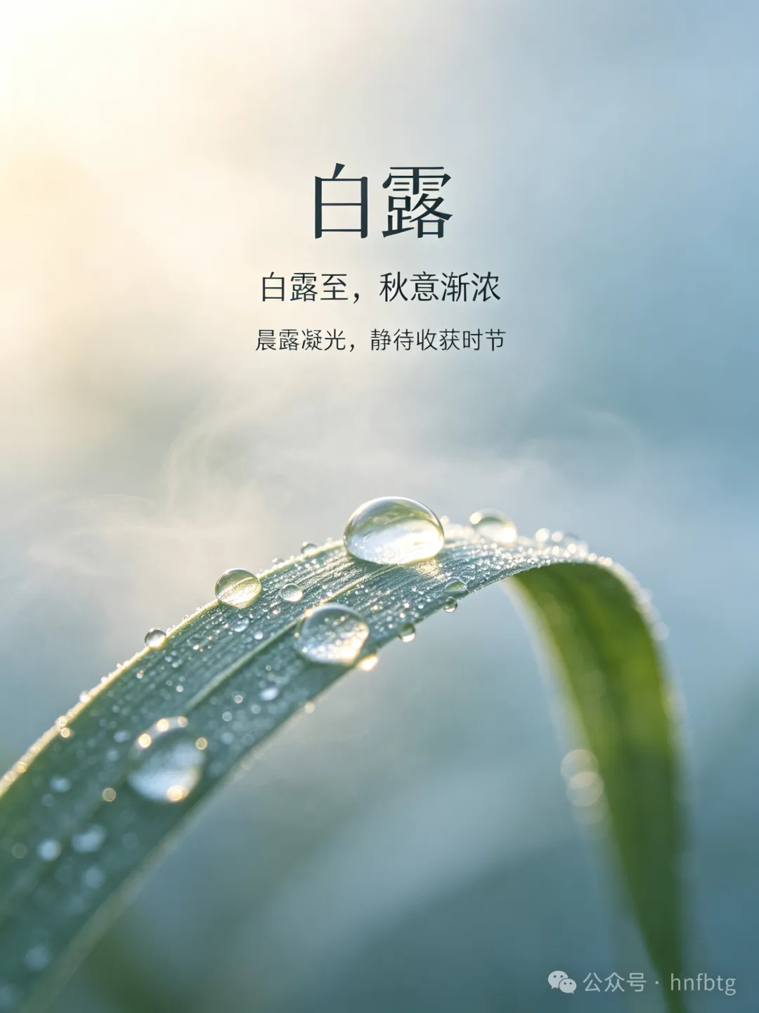 企业微信截图_17887624738538.png 企业微信截图_17887624738538.png