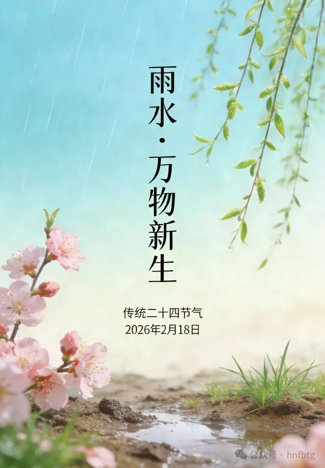 二十四节气|雨水