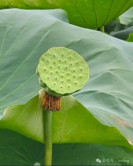 企业微信截图_17874479229039.png 企业微信截图_17874479229039.png